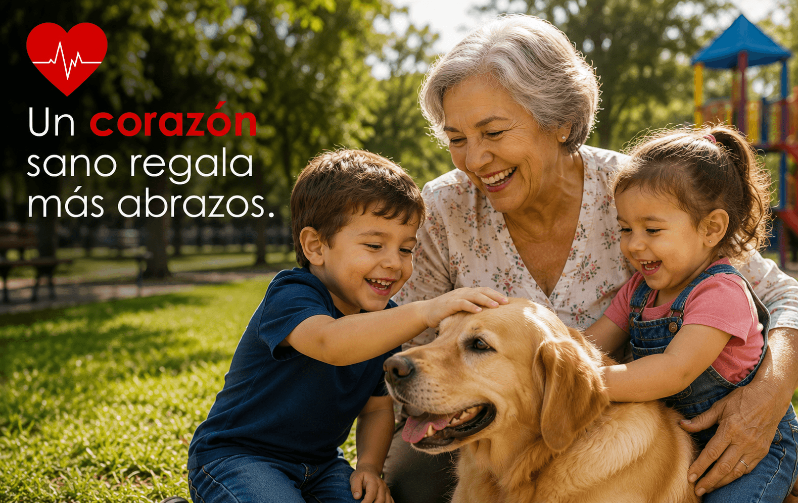 Visualiza el corazón en tiempo real con ecocardiografía tridimensional avanzada